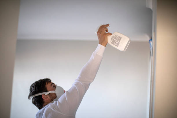 Best Fast Mold Removal  in Shiloh, PA