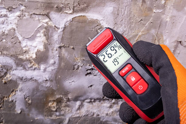 Best Attic Mold Removal  in Shiloh, PA