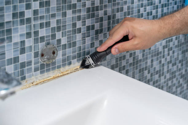 Best Certified Mold Removal  in Shiloh, PA