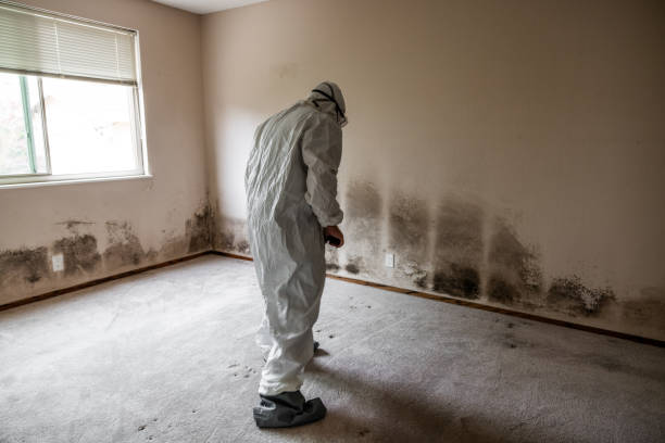 Water Damage Restoration in Shiloh, PA